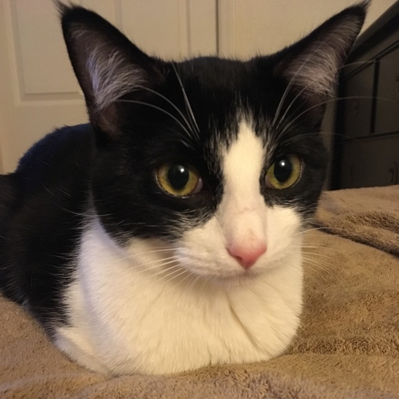 Meet your Posher, Emily! - Picture 7 of 8